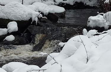 Haus Heidelberg - Foto 67