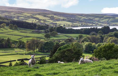 Wickwoods - Photo 10