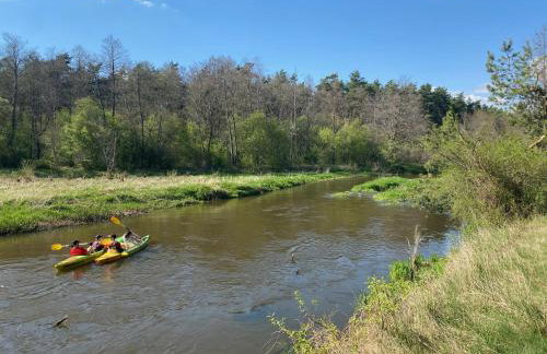 Przytulny domek w lesie blisko rzeki - Foto 25