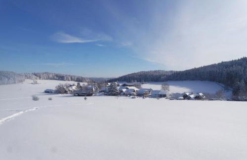 Alb Chalet - Foto 19