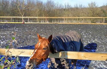 Studio indépendant - Foto 9