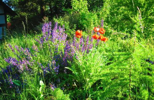 Natururlaub Frankenau - Foto 11