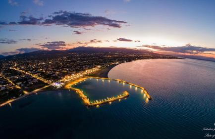 Lemon Tree House - Photo 52