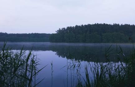 Forreset - leśny reset - Foto 34