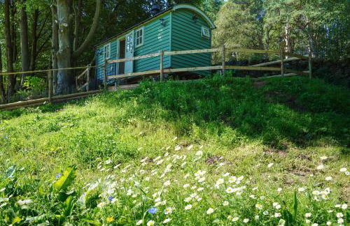 Lavender Retreat with Private Hot Tub - Photo 20