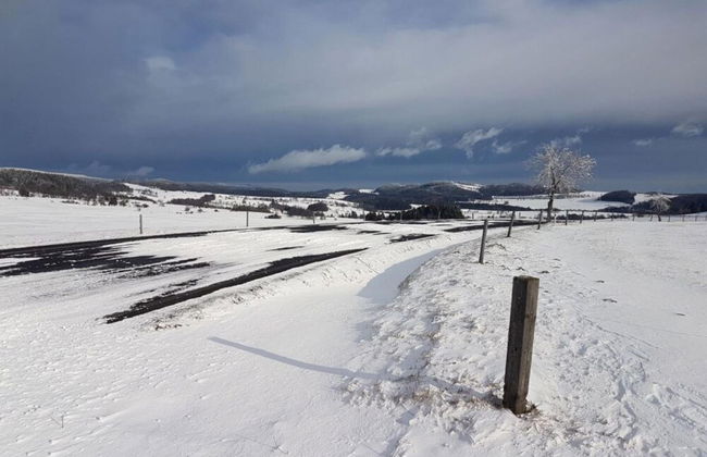 Mal Mor vka Mmf16 - Foto 35