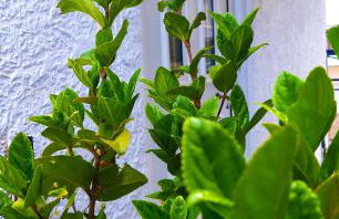 Kalliopi's apartment - Foto 16