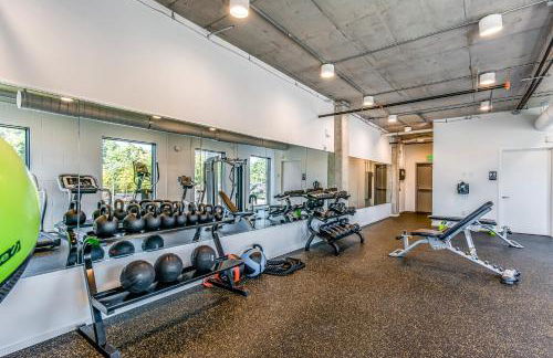 Illume 305 - Foto 24