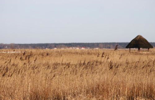 Dat Dardel Hus - Foto 25