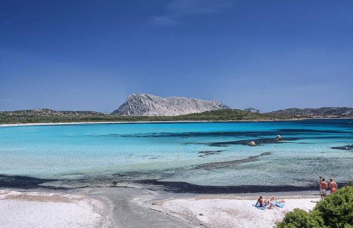 Appartamento Oleandro - Foto 24