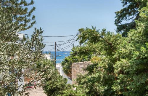 Psathi Seaview House - Foto 10