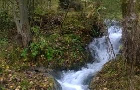 Casa da Aldo - Photo 21