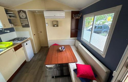 Salamandre - Foto 27