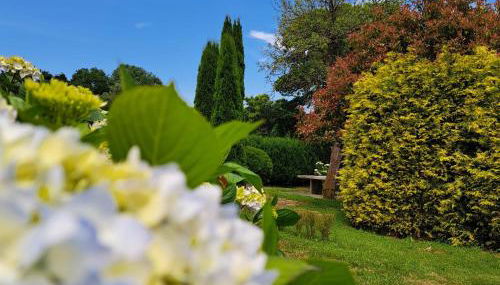 PORTA ESPERANZA - Foto 3, Garden view