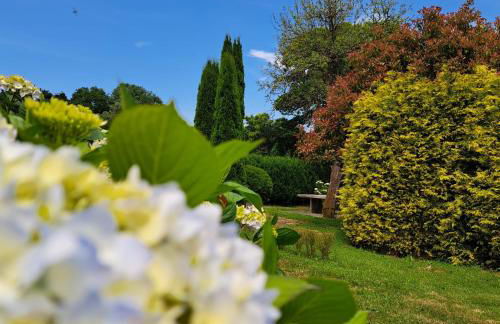 PORTA ESPERANZA - Foto 3