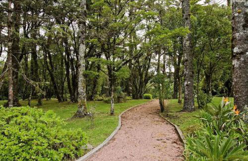 Presidencial Suite 3008 - Canela e Gramado - Foto 40