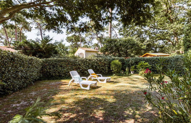 Les Narcisses - Foto 27