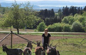 Ferienhof Hummer - Photo 19