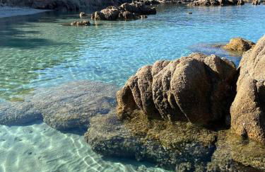 Le Francorsicat - Foto 12