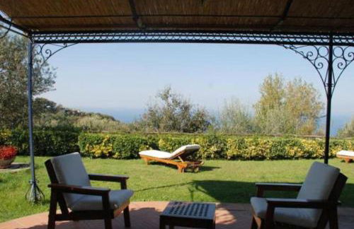 La Violetta - Photo 15