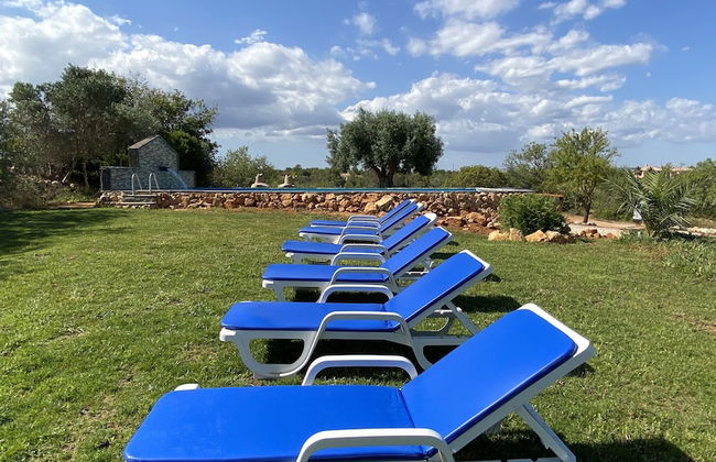 CIP V8 Gold - New!!! - Foto 31