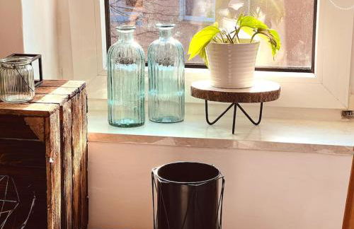 Suburban Jungle - Foto 23