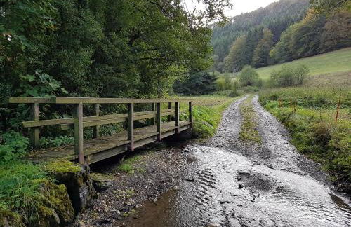 Panoramablick Willingen Schwalefeld - Foto 22