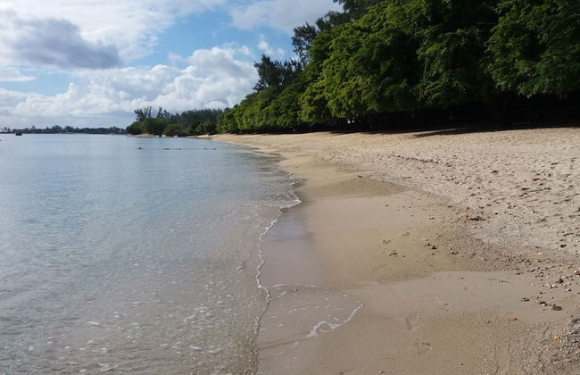 Sunny Private First Floor 1-br Beach Apartment With Spacious Balcony, Pool, Wifi - Photo 20