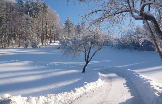 Holiday Apartment Ferienhof Benz - Foto 8