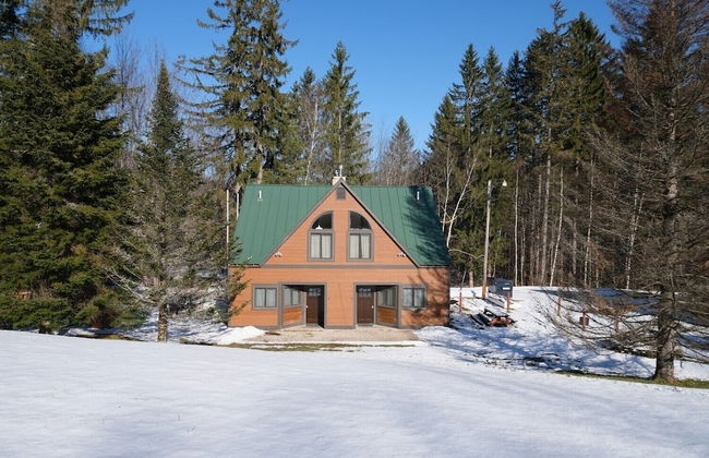 Ski in & out Spruce Glen Townhomes on Great Eastern Trail - Photo 1