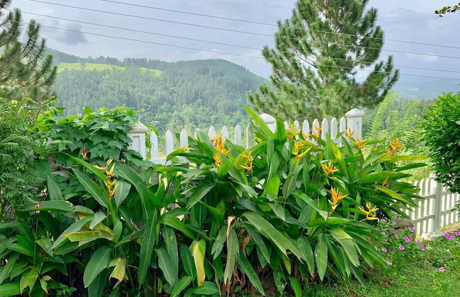 Amandari Holiday Villa - Foto 30