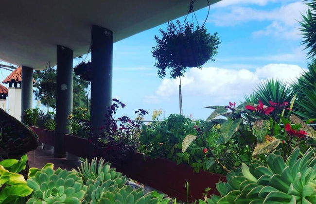 Los Viejitos en Firgas - Foto 27