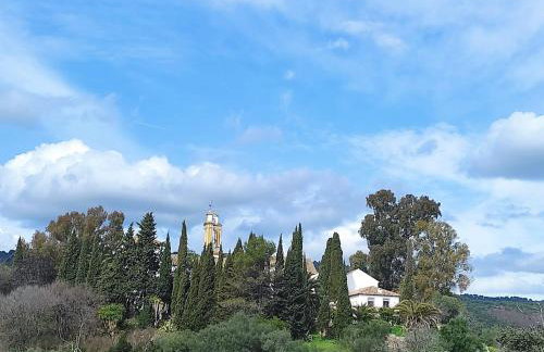 Silvana campo y ciudad - Foto 31