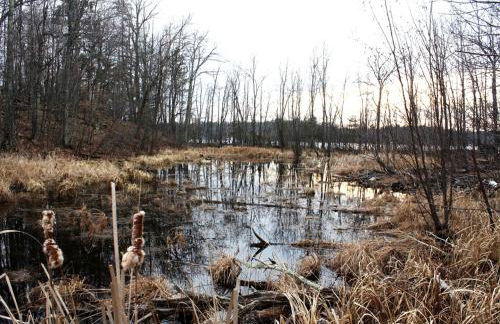 Lakefront Cottage Rental with Game Room near Ruth Lake, Minnesota - Photo 22
