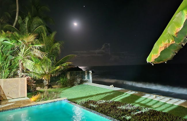 Birdie's Nest - Foto 35