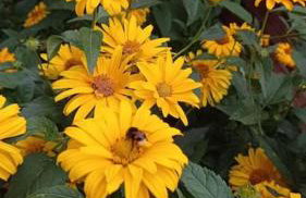 Uroczy domek na Mazurach - Foto 22