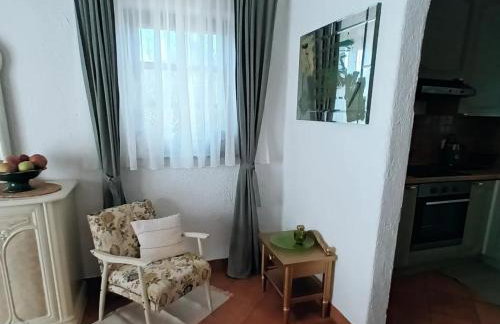 Villa Wolf Castle - vanjski grijani bazen 365 dana i pet friendly - Foto 23