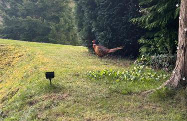 8F Lakeside Lodge Caer Beris Builth Wells - No Tradesman - Foto 30