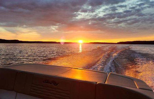 FoRest Longinówka - las, jezioro, parking, Netflix i Prime, TV55" - Foto 30