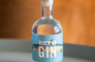 Black F Tower - Serviced Apartments - Foto 26