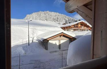 Beautiful apartment close to Les Saisies - Foto 17