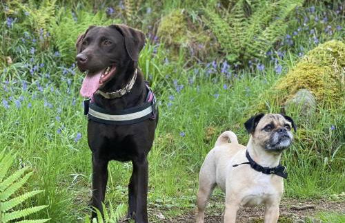 Number 30 The ORCHARDS - Photo 18