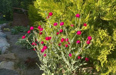 Dom w Sąpach - Foto 47