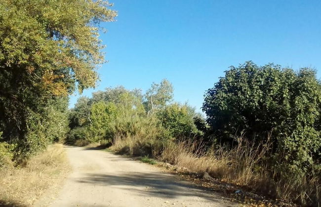 Rural House Near Zaragoza - Foto 20