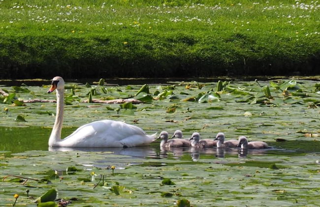 1 Bed Flat - Sleeps 2 - Wifi - Foto 11