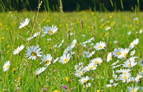 Ferienwohnungen Woferllehen - Foto 11