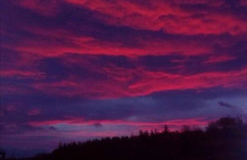 Beautiful cozy 3 bedroom 2 bathroom apartment - Foto 9