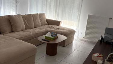 Appartement luxueux à 4 minutes de l'aéroport de genève - Photo 4