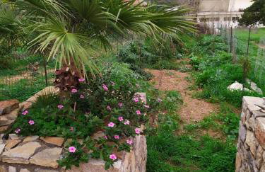 Creta guesthouse ARXONTIKO! - Foto 37