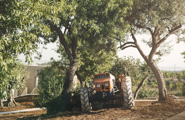 Country House Villadorata - Photo 50